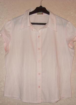 Коттоновая блуза ніжно-рожевого кольору2 фото