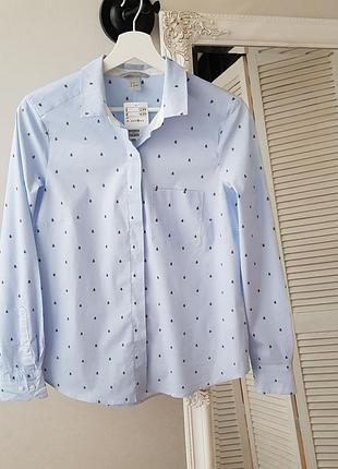Рубашка в голубую полоску с принтом жучки