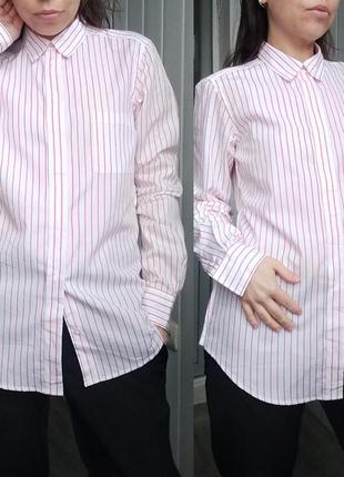 Рубашка хлопковая прямого силуэта fillipa k,s10 фото