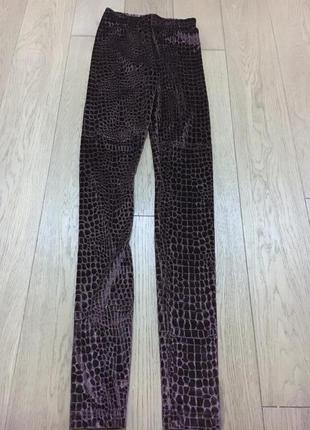 Легенсы conte