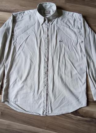 Сорочка thomas burberry оригінал. котон xl xxl