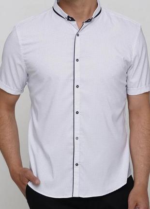 Мужская тенниска semco