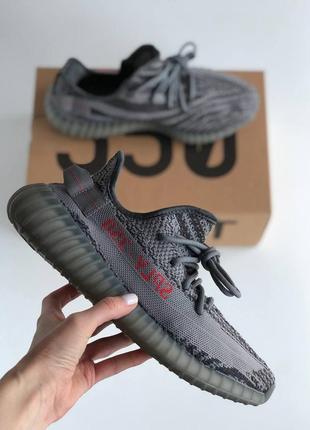 Yeezy cheap zebra gray