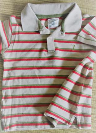 Поло на 4 роки