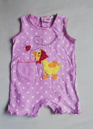 Пісочник пісочник 7colores 6 міс