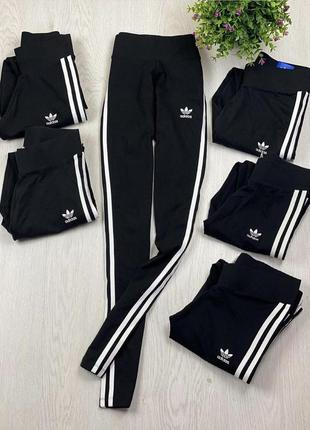 Лосины adidas