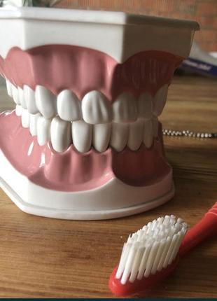Фантом зубів colgate