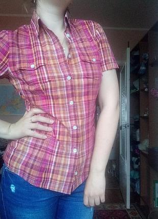 Футболка сорочка теніска жіноча в клітинку для дівчинки