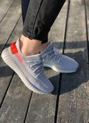 Кроссовки adidas yeezy boost5 фото