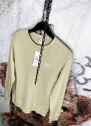 Чоловічий світшот, кофта reebok classic бежевий без флісу 6