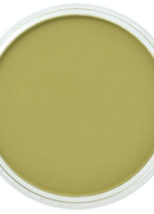 Художня пастель panpastel 680.3 bright yellow green shade 9ml