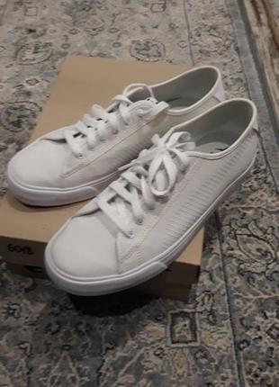 Кеді оригінал puma