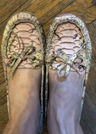 Змеиный принт туфли мокасины натуральная кожа  китанхил