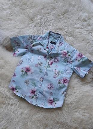 💙💜💚 трендовая рубашечка из 100%хлопка  принт цветы
