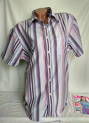 Мужская рубашка на лето в полоску с коротким рукавом 100% хлопок р.м,от tom tailor