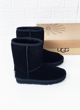 Ugg женские угги замш высокие средние замшевые уггі 36-41р.