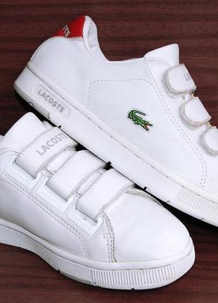 Кроссовки lacoste sport р.35-36 original vietnam9 фото