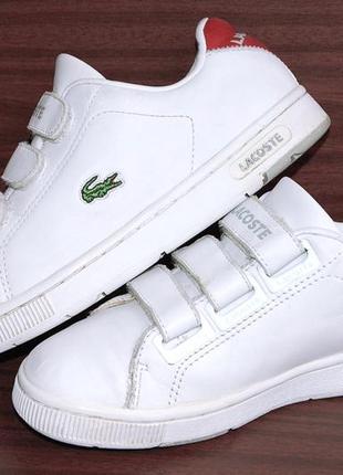 Кроссовки lacoste sport р.35-36 original vietnam3 фото