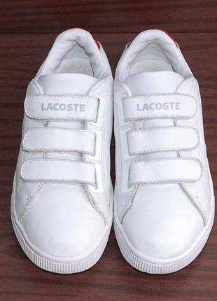 Кроссовки lacoste sport р.35-36 original vietnam2 фото