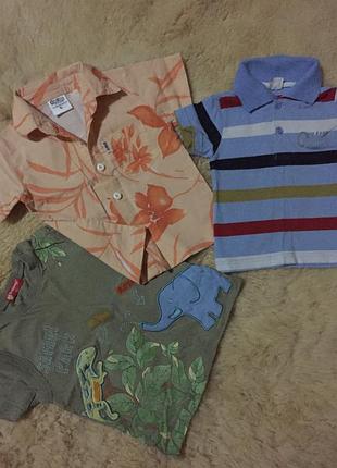 Літній набір сорочка, футболка поло