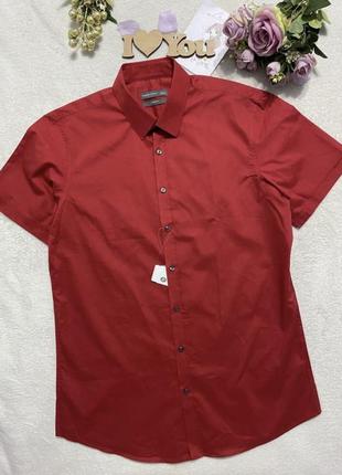 Рубашка, рубашка, тенниска, тенниска, футболка