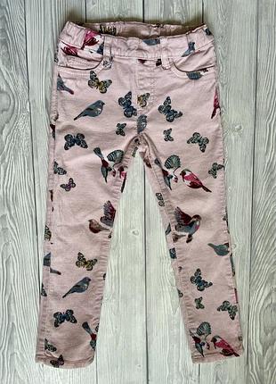Джинсы велюровые детские с птичками, h&m 98, 2-3 года, штаны на девочку, брюки вельвет