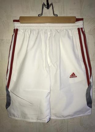 Шорты adidas