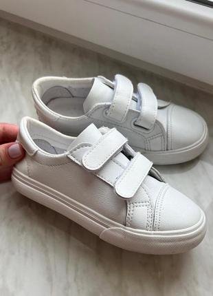 Кеди