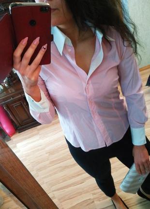 Стильная рубашка нежный розовый манжеты l xl