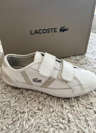 Lacoste дитячі кеди2 фото