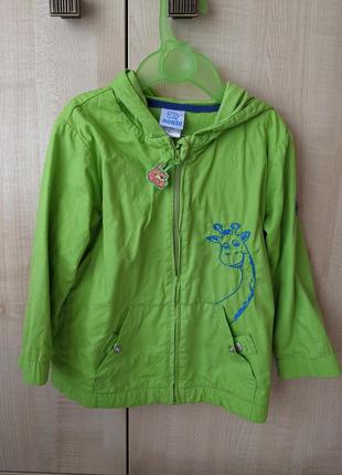 Курточка ветровка, весняна куртка