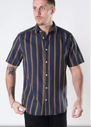 Рубашка тениска в полоску