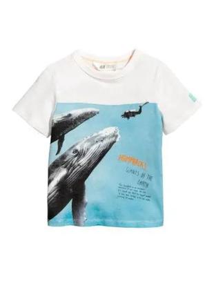 Футболка біла акула h&m р. 92см