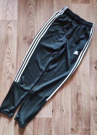 Джогеры adidas