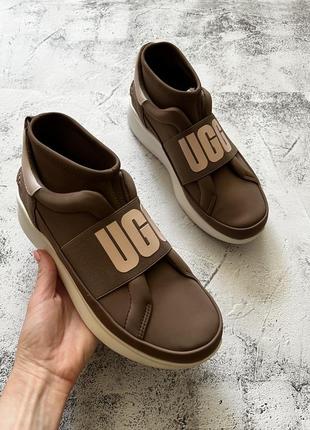 Кроссовки носки ugg2 фото