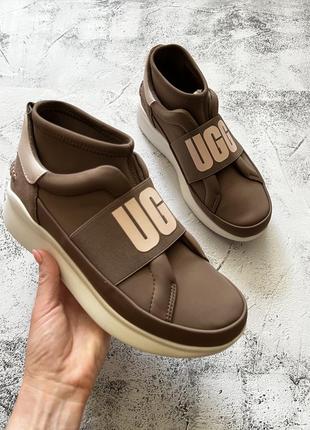 Кроссовки носки ugg
