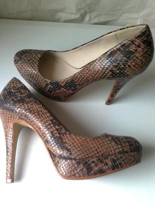 Хищные туфли 39 р. 25,2 см. змеиный принт тренд сезона2 фото