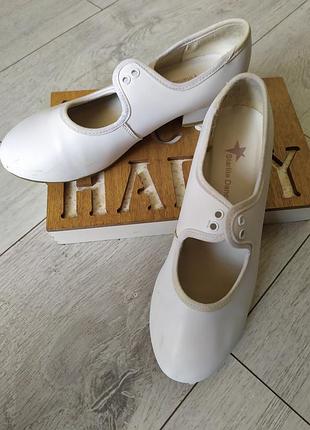 Танцювальні Туфлі, степовки, чічьотка.