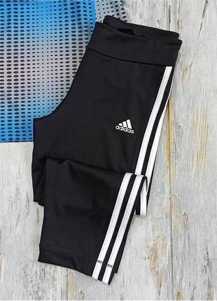 Спортивные шорты adidas1 фото