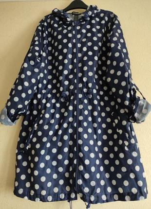 Вітровка парка дощовик