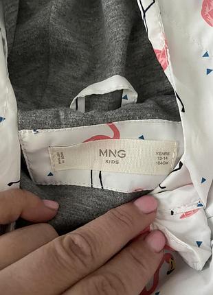 Вітрова mango 2