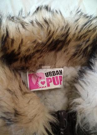 Одежда для собаки urban pup m3 фото