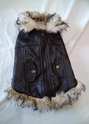 Одежда для собаки urban pup m