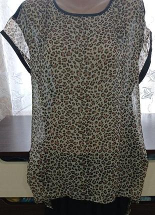 Туніка леопардова жіноча