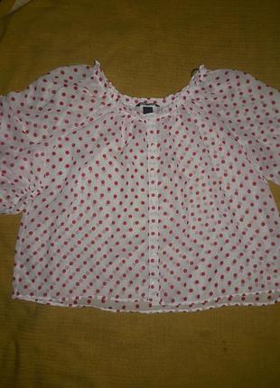 Блузочка горох реглан турция  р.l/xl