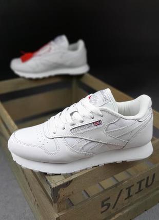 Прекрасні жіночі кросівки reebok classic білі