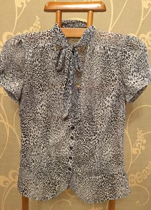 Дуже гарна і стильна брендовий блузка.