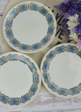 Вінтажні тарілки з ручним розписом biltons staffordshire plate finewhite ironstone