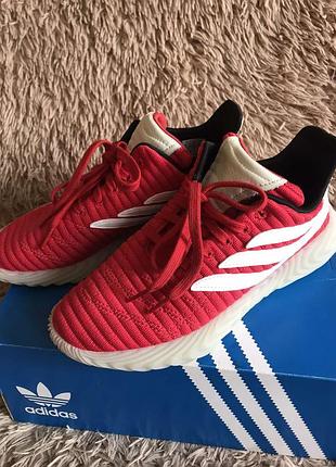 Крассовки adidas originals sobakov