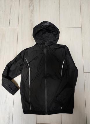 Вітровка дощовик ( вітрівка, дощовик)